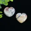 7.Crazy Lace Agate