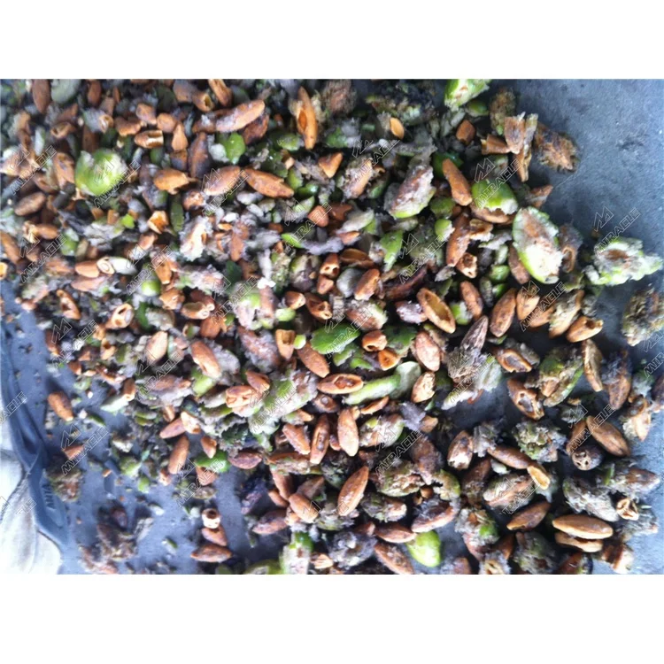 High Efficiency Olive Stuffing Machine Olive Kernel Removing Machine