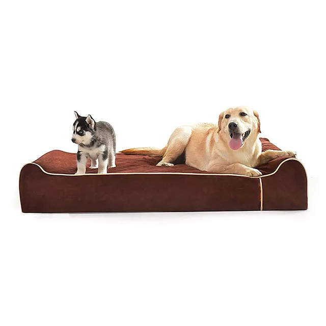 Deluxe Suede Dog Bed Waterproof Orthopedic Memory Foam with Pillow Solid Pattern