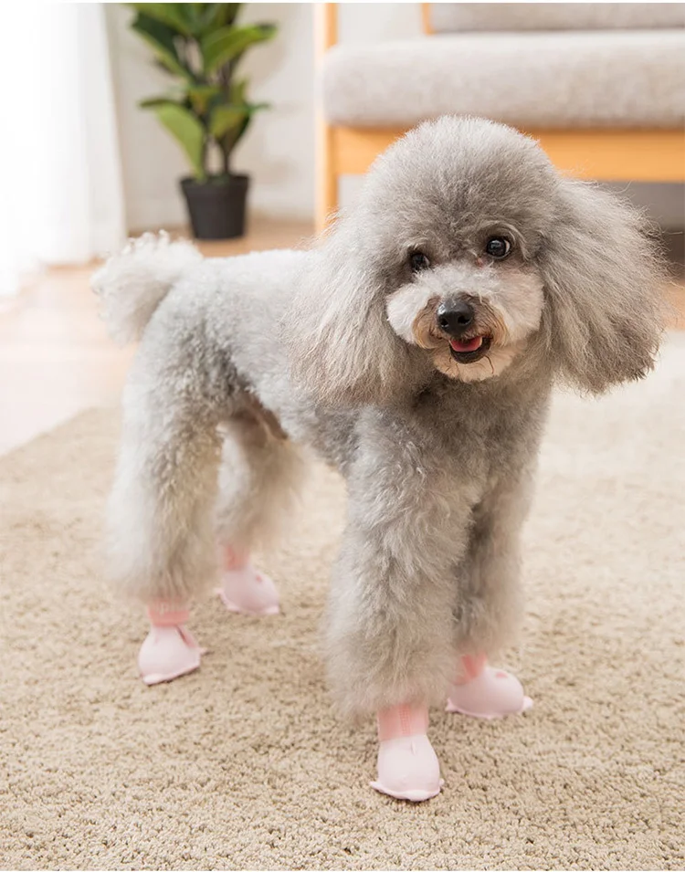 Pet Rain boots11.jpg