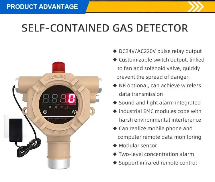 Point Flammable Combustible Hydrogen Sulfide H2S Fixed Single Gas ...