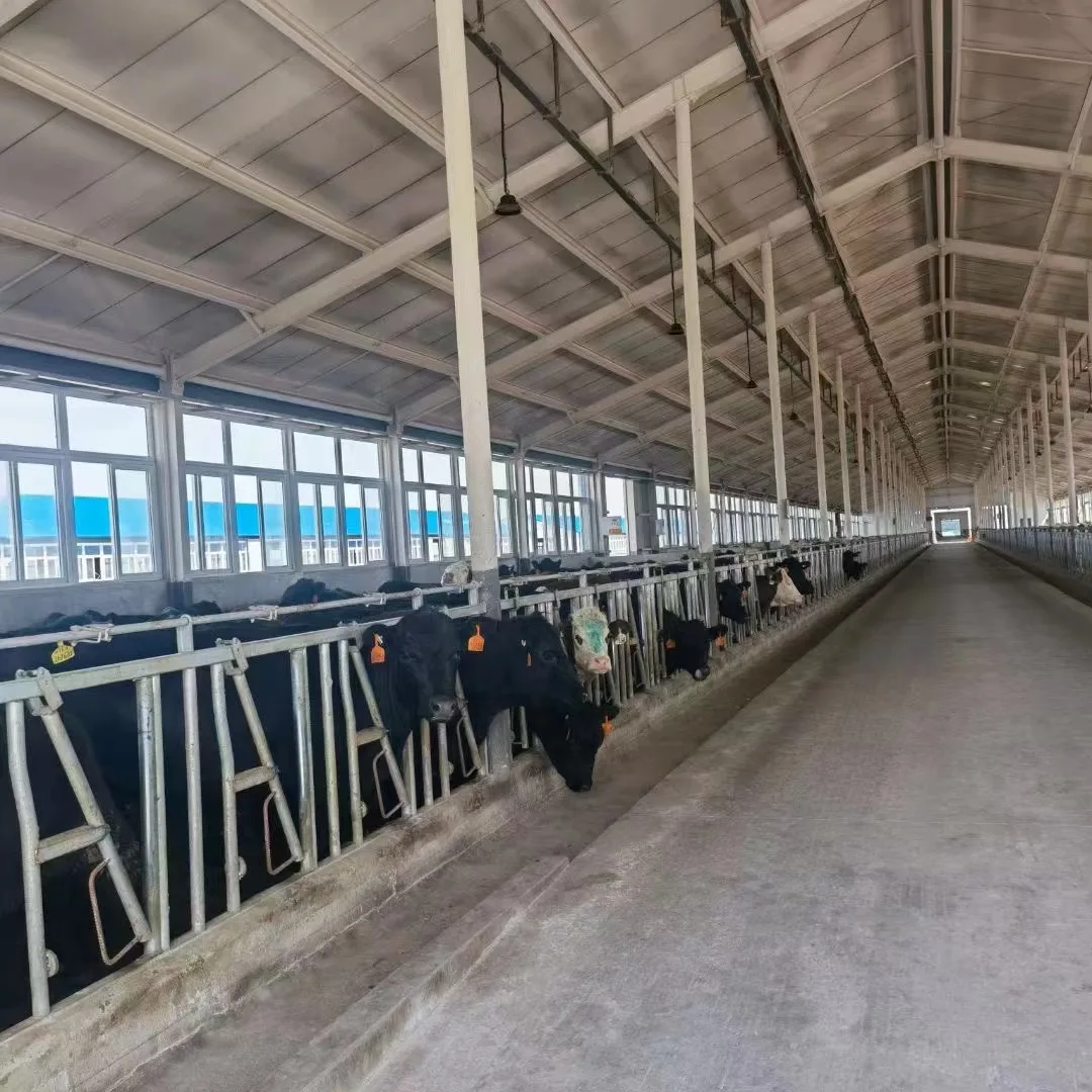 High Good Quality Cow Headlock for Sale