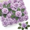 Pourpre