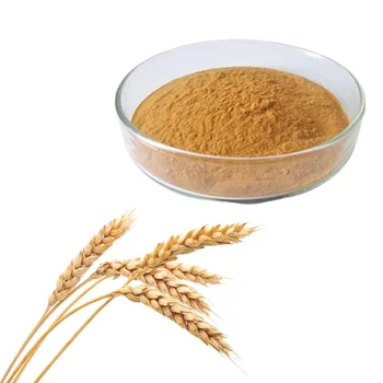Hot sale Factory Supply Manufacture Pure Natural Organic Wheat Germ Extract
