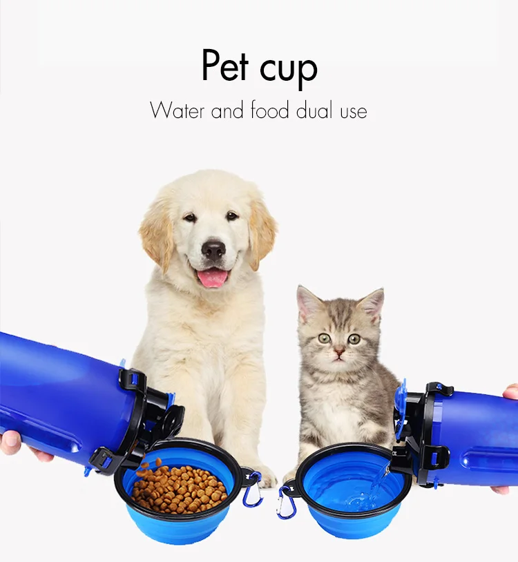 cup (1)