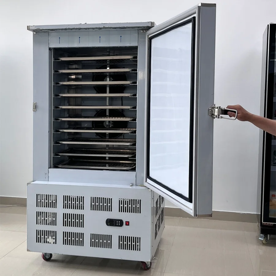 10 Trays Small Fast Freezing Iqf Shock Blast Freezer