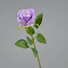 viola chiaro