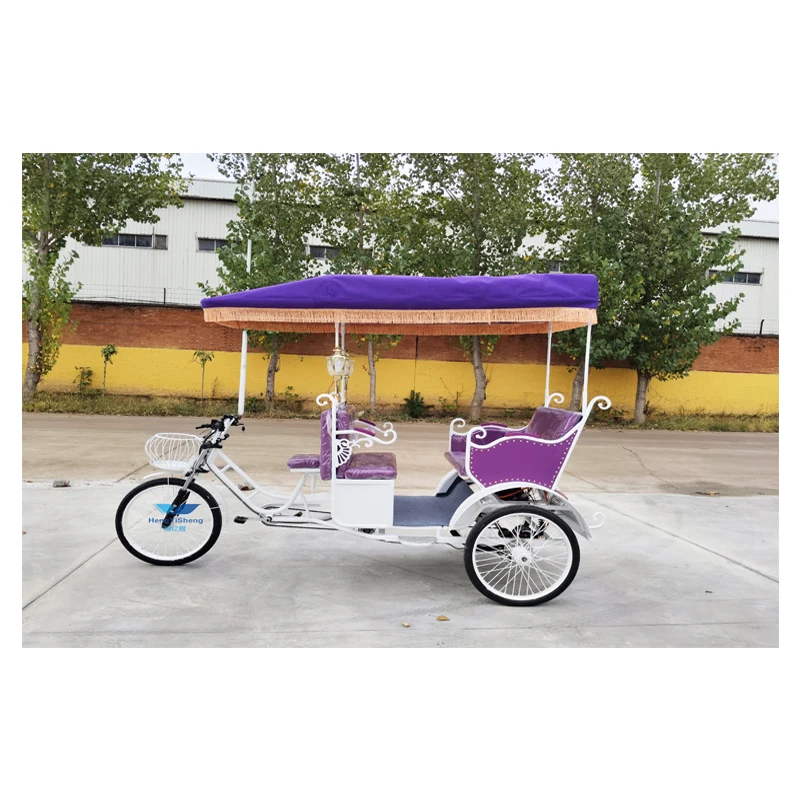 Seater Passenger Pedicab Rickshaw Tuk Tuk Taxi Wheel Bike