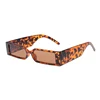 C3 TARTARUGA LENTE marrone