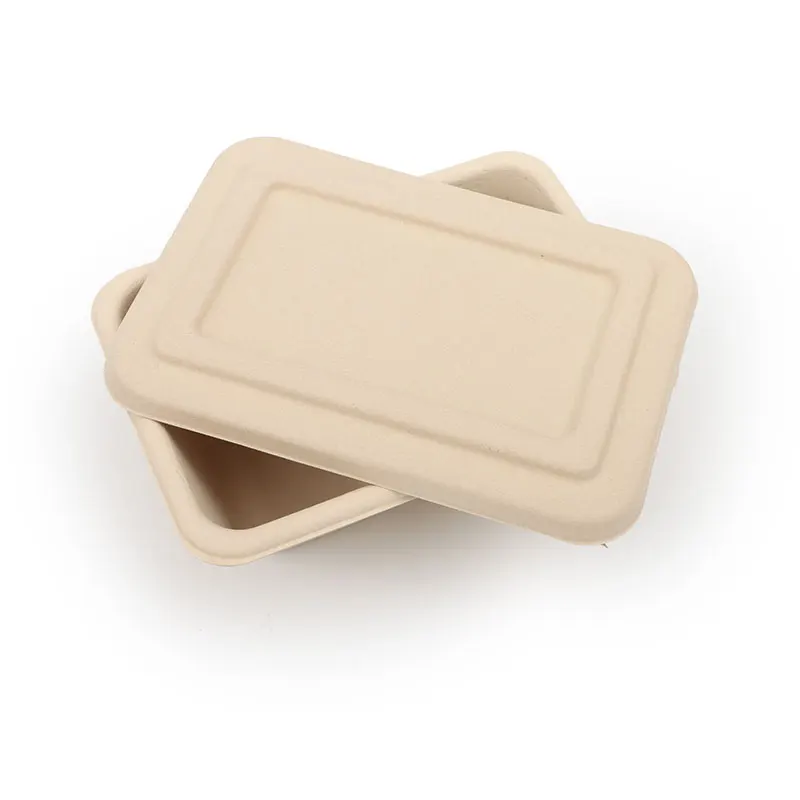 Pfas Free Disposable Lunch Box Container 2 Compartments Takeaway Sushi ...