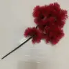 45 pedidos de tuya roja