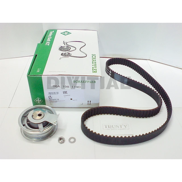 06A198119D 06A198119 INA 530017110 Timing belt kit For vw GOLF passat