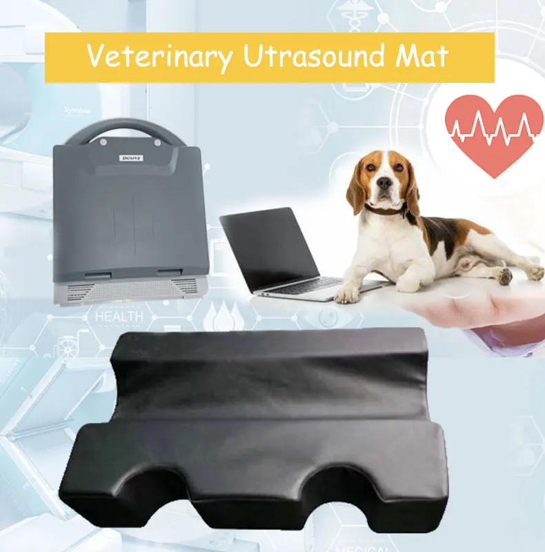 Oem Service Animal Patient Positioning Xray Positioner Ultrasound Positioner For Veterinary Use