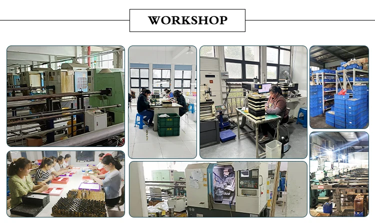 Shanghai Wenzhuo Industrial Co., Ltd. 2