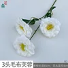 3-headed fuzzy hibiscus BD white