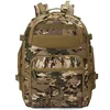CP-in stock