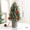 Frosted Cypress Pine 47cm