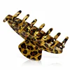 Golden Leopard