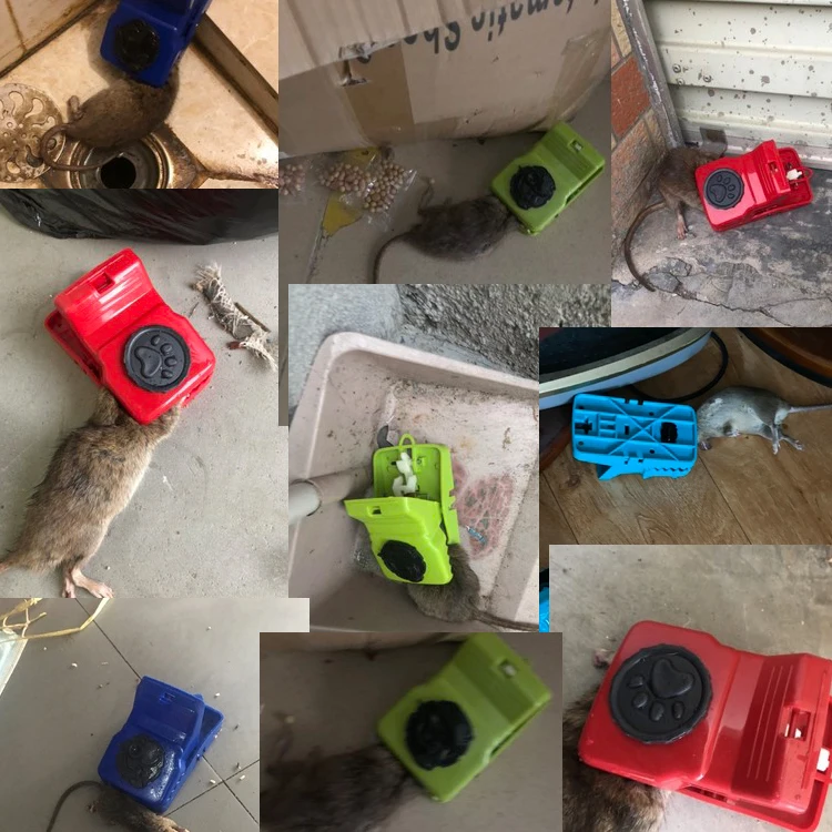 Source 2022 Killer Rat Plastic Mouse Trap Animal Friendly Black Cat  Effective Quickrat Continous Big Alive Plastic Mousetrap on m.