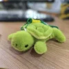 tortoise