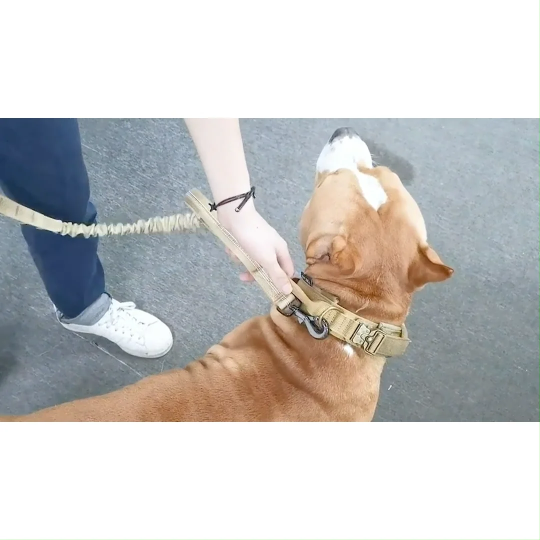 High Quality Camo Strong Tactical Dog Leash With Metal Buckle And Quick
