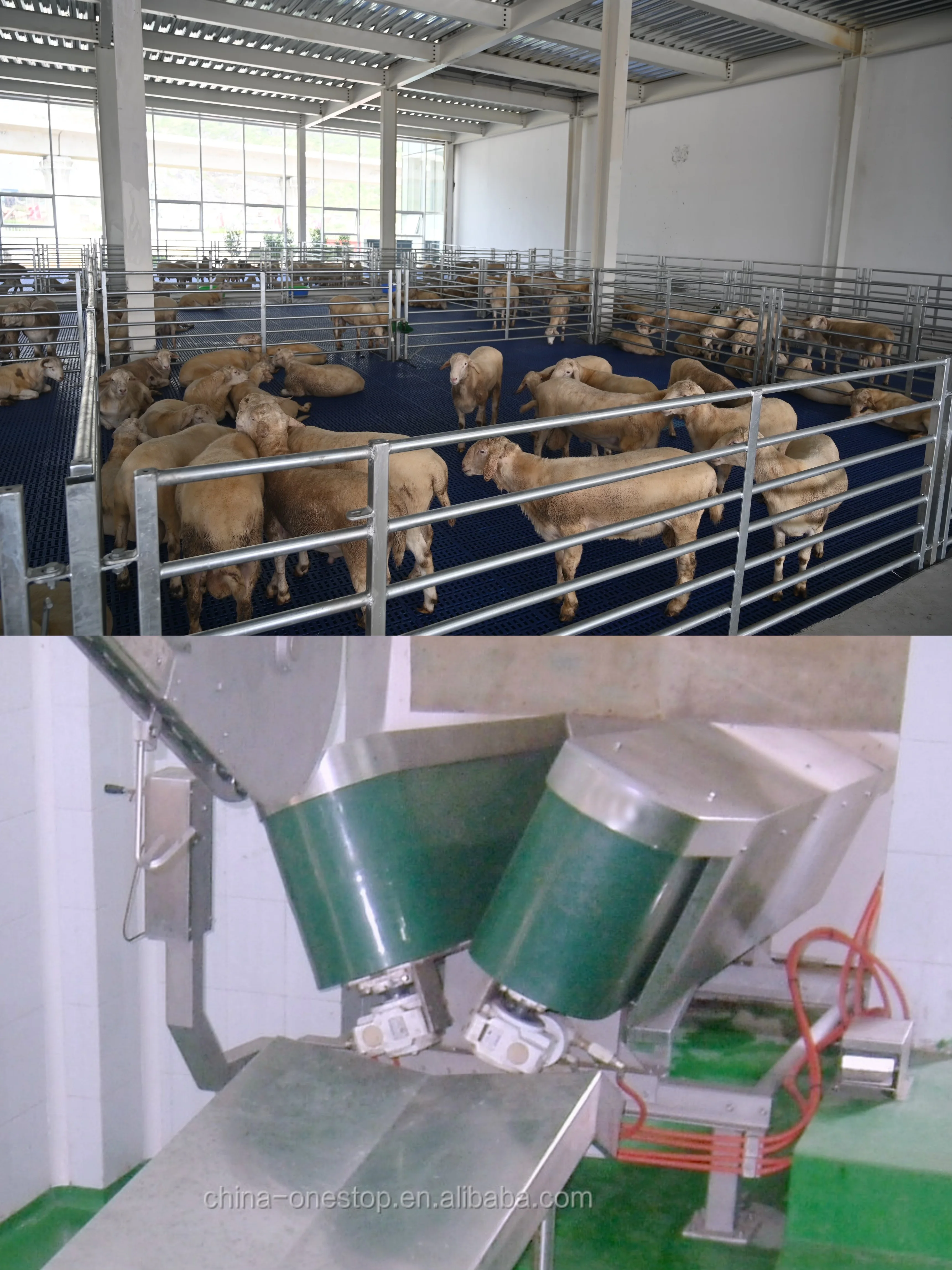 Complete sheep and goat slaughtering line equipment - efficient processing systems for meat factories and modern slaughterhouses