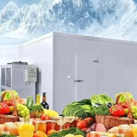 Large Medium Size Walk-In Cold Storage Warehouse Compressor Project Vegetables Fruits Essential Restaurants Panel Motor