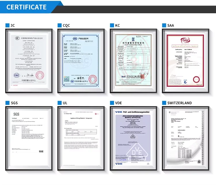 Company overview