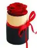 1 Rose XS Boîte Noire Avec Bord Doré