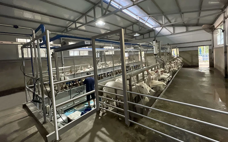 Digital electric meter New condition equipment sheep goat milking parlor for sale