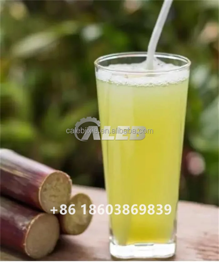 Industrial Sugarcane Pressing Juice Extractor Price Cheap Price