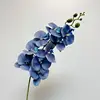 14-Azul Klein
