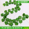 36 grape leaves (12 leaves)