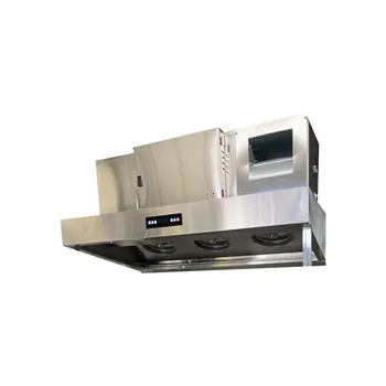 Hotel kitchen only Up to 98% purification efficiency Exhaust Air Filter Smoke Precipitator Smoke hood