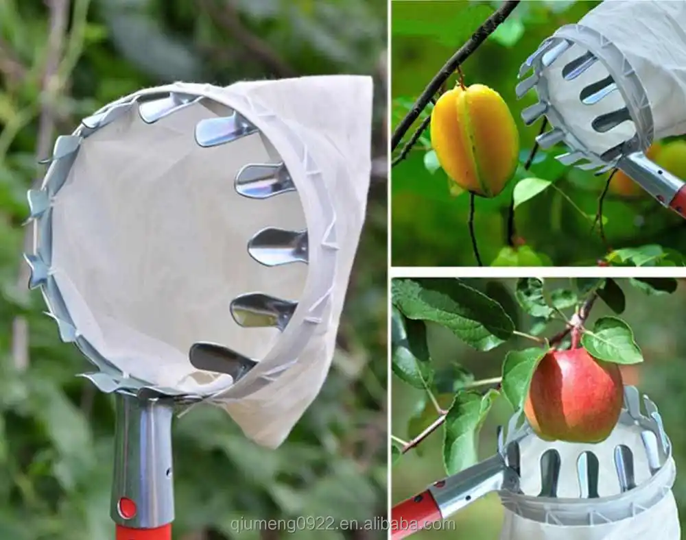 Aiming Dents de Fer métal Fruit Picker Catcher Orange Peach Poire Grab Panier Sac à Main Tissu Outil de Jardin 