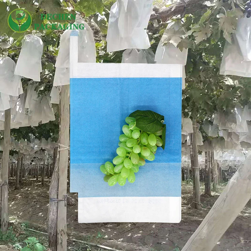 Bolsa de papel de protección de frutas para cultivo de pulpa Mango