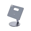 สีเทาสเปซเกรย์สำหรับ iPad A16