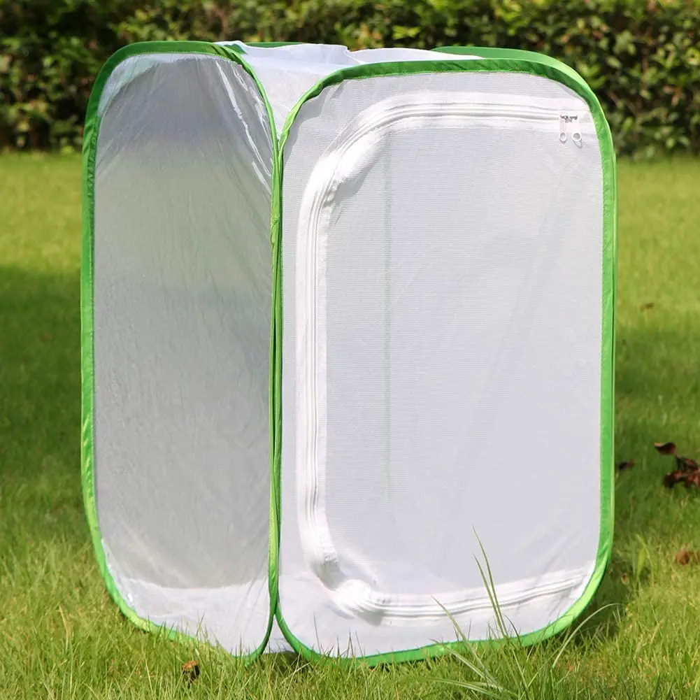 Collapsable Rearing Insect Cage,Pop Up Bug Cage,Butterfly Net Cage ...