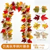 Maple vine (1.75 meters) 32 heads