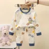 cloth bear