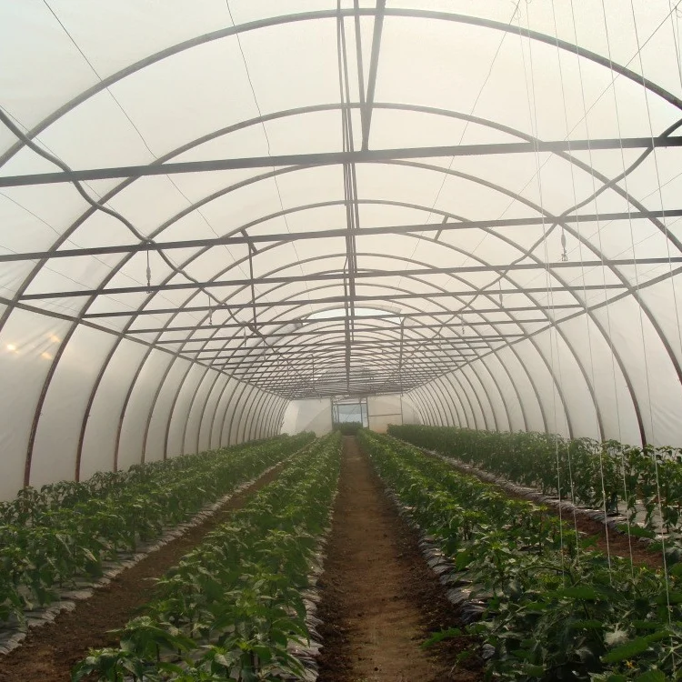 Winter Greenhouse Film