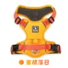 Tangerine Sunset [Single-chested, Strapless Back]