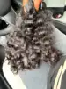 indian curly 1 bundle