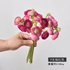 9 piezas de rosa roja serie