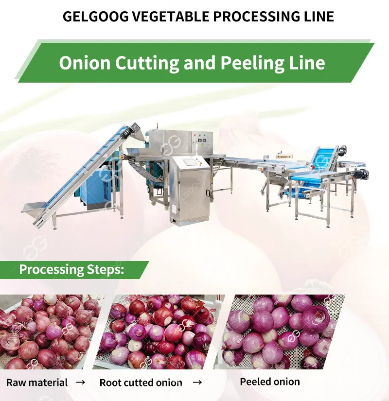 Automatic Onion Processing Line for Root Cutting and Peeling