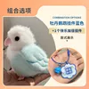 Blue budgerigar double-happy hanging ornament