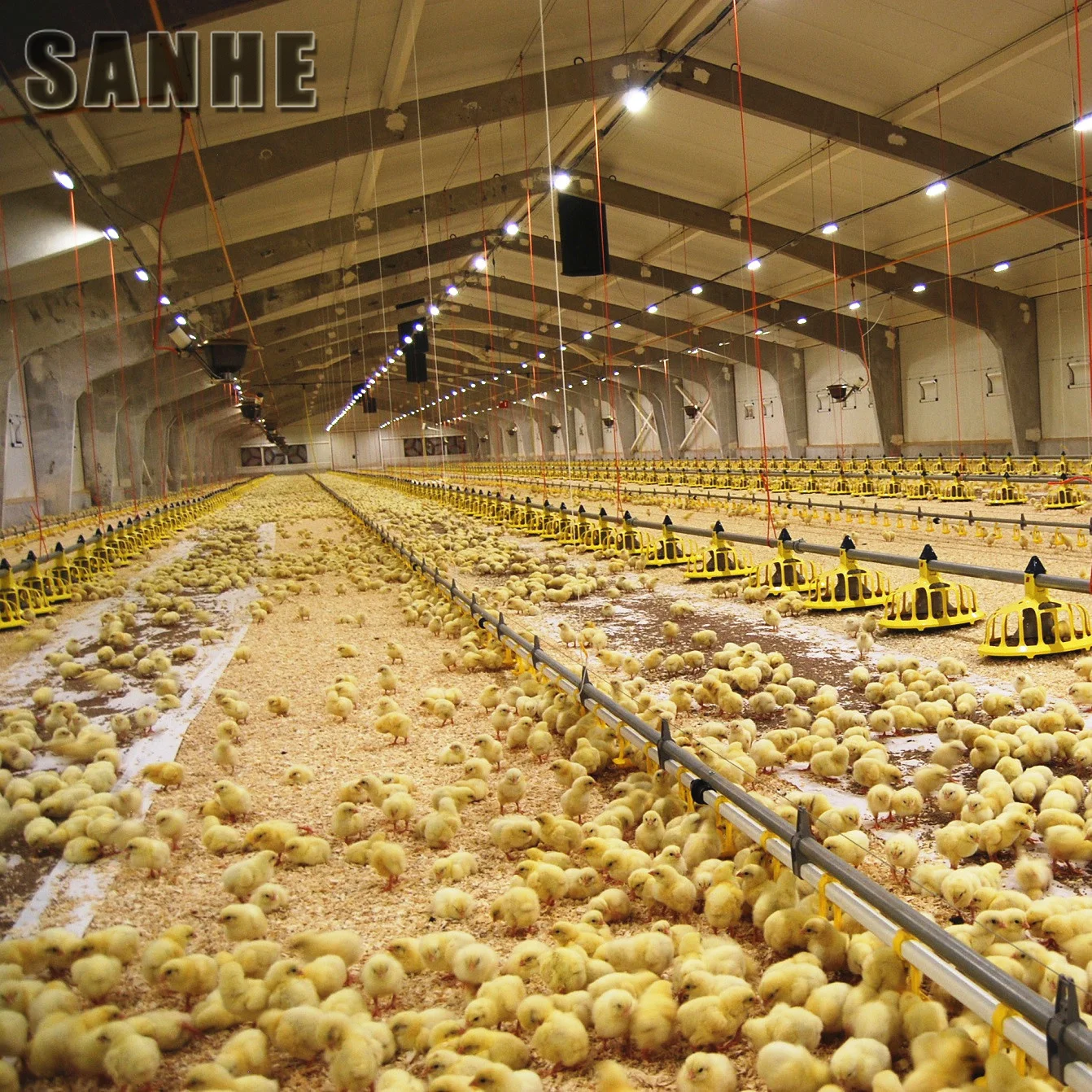 30000 Birds Sanhe Steel Structure Farmhouse Chicken House with Cooling System for Large Scale Poultry Farm Building