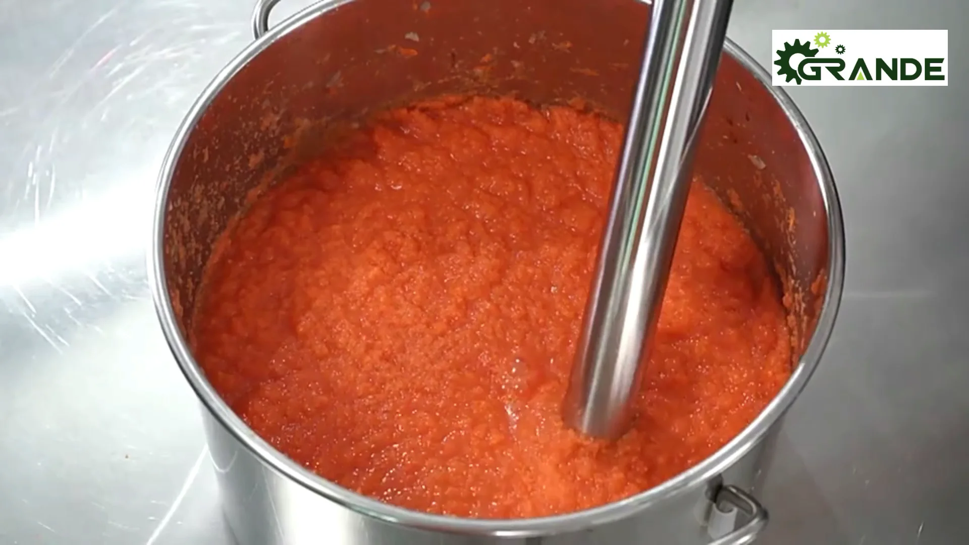 Electric Handheld Immersion Milk Mixer Food Mixer Handheld Stick