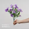 Viola chiaro