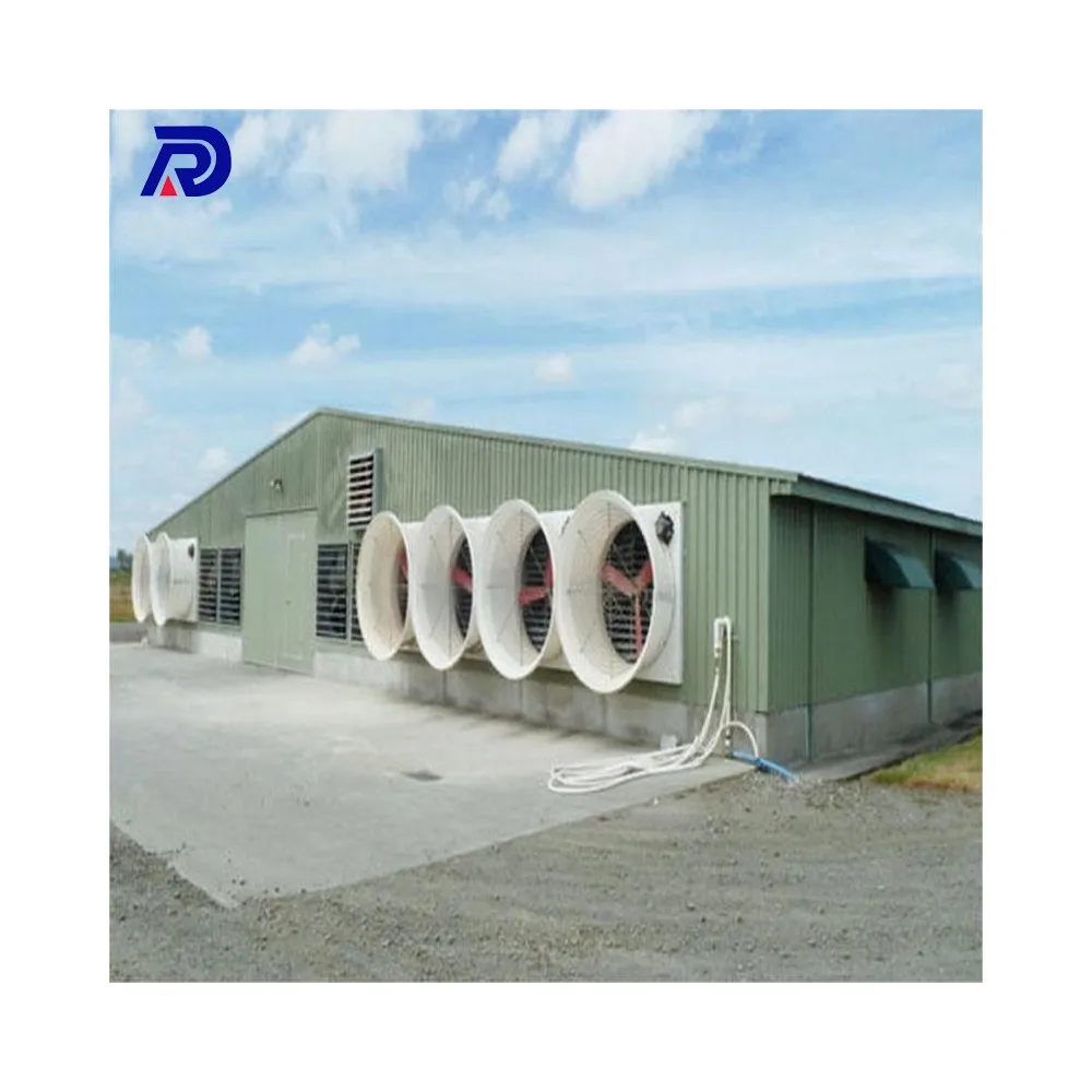 different-types-of-automatic-poultry-farm-chicken-house-steel-farm